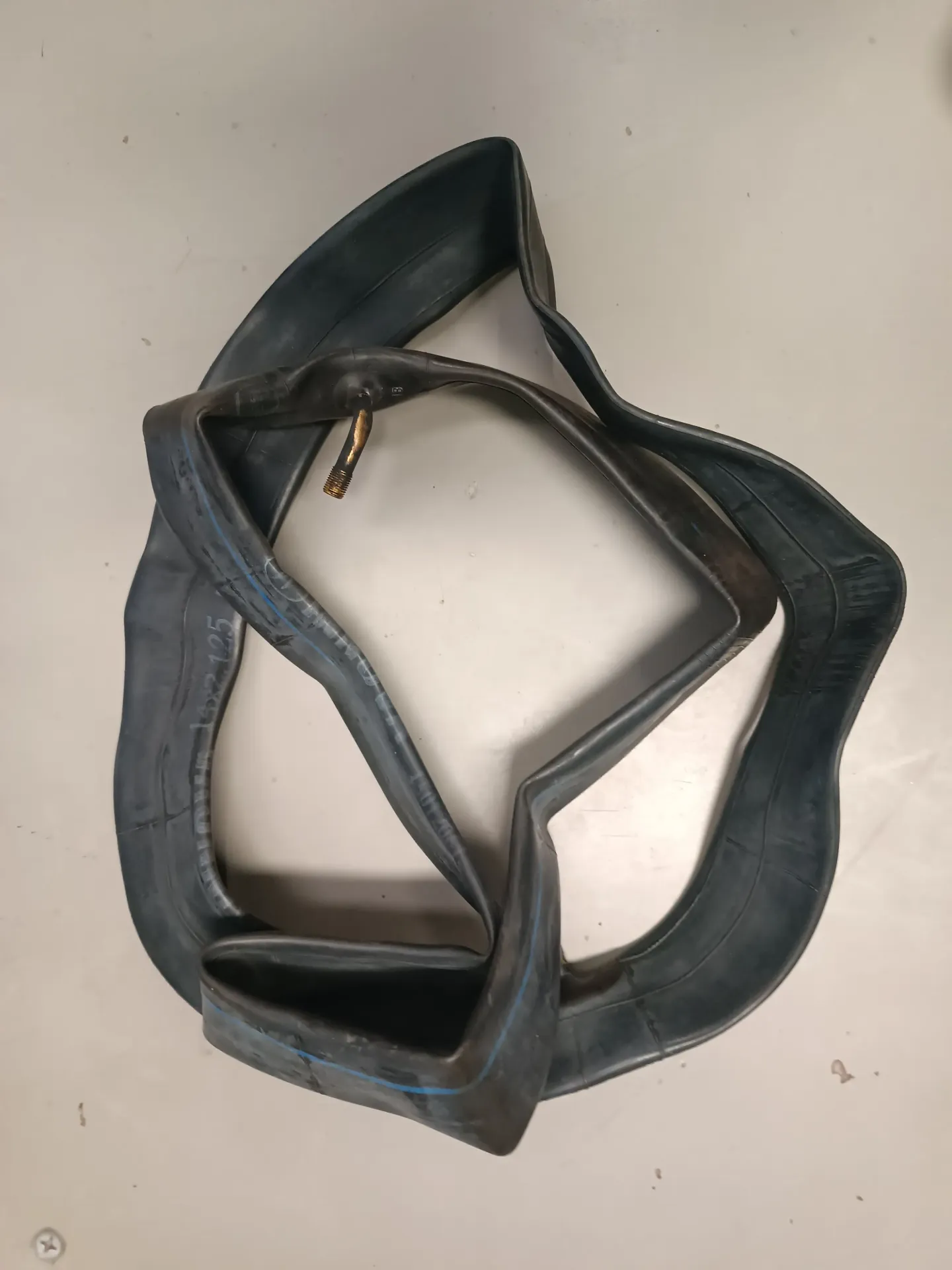 [RPRS1009] GOMA INTERNA RS1