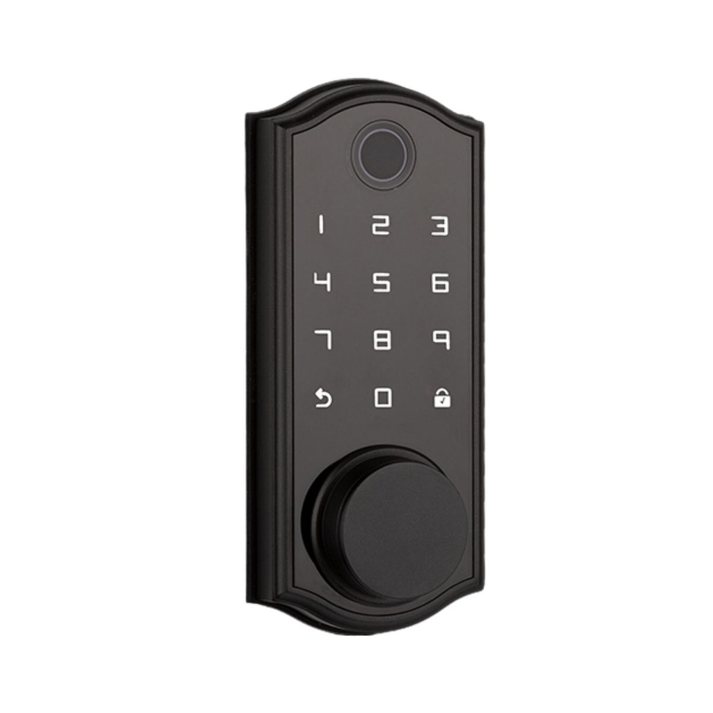 BE-DL400 CERRADURA INTELIGENTE